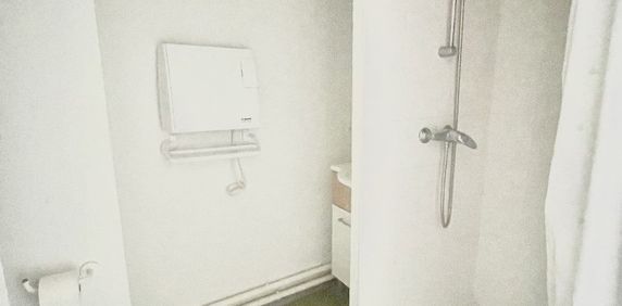 Location Appartement 1 pièce 19m² TALENCE 33400 - Photo 2