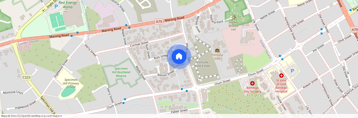 89 Booth Street, 3555, Golden Square, Vic