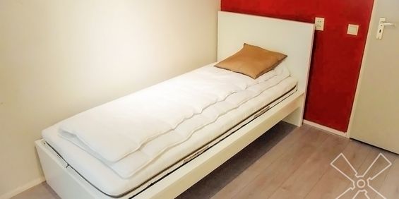 Dries van der Vlerkstraat (15010) - Photo 3