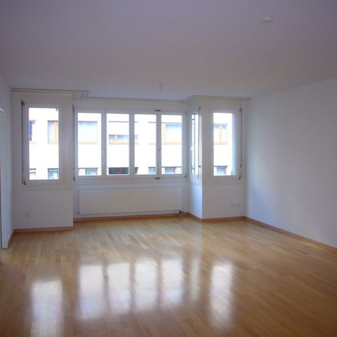 Grossbasel MFH Frobenstrasse (Nähe Bahnhof) - Photo 1