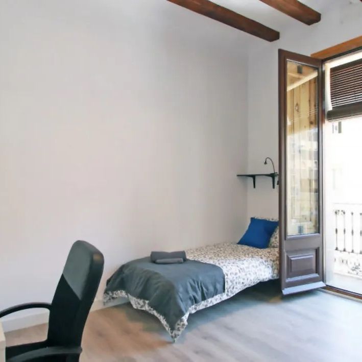 Carrer del Pas de lEnsenyança, Barcelona, Catalonia 08002 - Photo 1