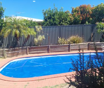 Marangaroo - Photo 6