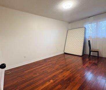 For Lease - Main 48 Marchwood Crescent, Richmond Hill, Ontario - Photo 3
