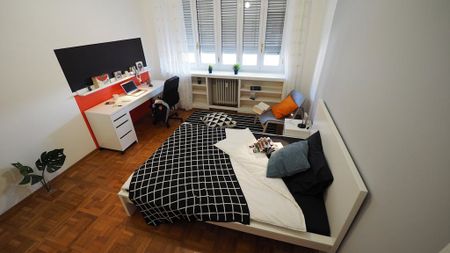 Corso Luigi Einaudi, Turin, Piedmont 10129 - Photo 2