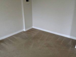 $950 / 1br – 920ft2 – Spacious 1 Br Bsmt Suite in Port Moody (Port Moody) - Photo 2