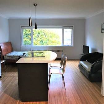 Renovated-AVAILABLE Nov 1st-Pet Friendly Furnished Studio@ 1540 Haro - Photo 1