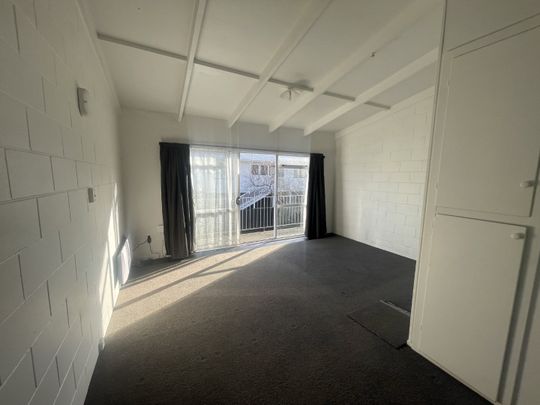 Studio in the Heart of Otahuhu - Photo 1