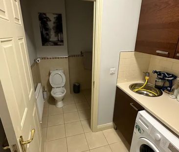 Ballynakelly Green, Newcastle - Photo 5