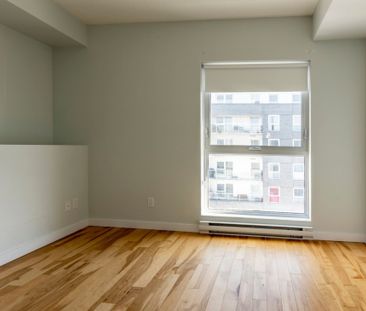 5200 Rue De Contrecoeur, app.501, H1K 0L3, H1K 0L3, Montréal - Photo 5