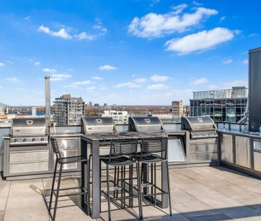 195 Rue Peel, Montréal (Le Sud-Ouest), QC H3C - Photo 5