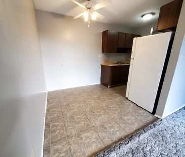 1 Bedroom Unit in Mature Area of Downtown - Photo 6