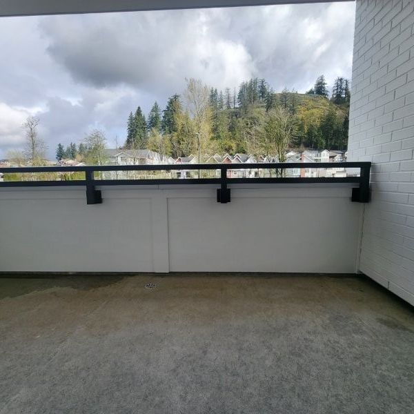 Beautiful Brand New One Bed Condo in Mission with Amenities and Parking - Photo 1