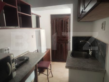 Apartament 1 camera la casa, 40 mp, zona Tatarasi - Fotografie 4