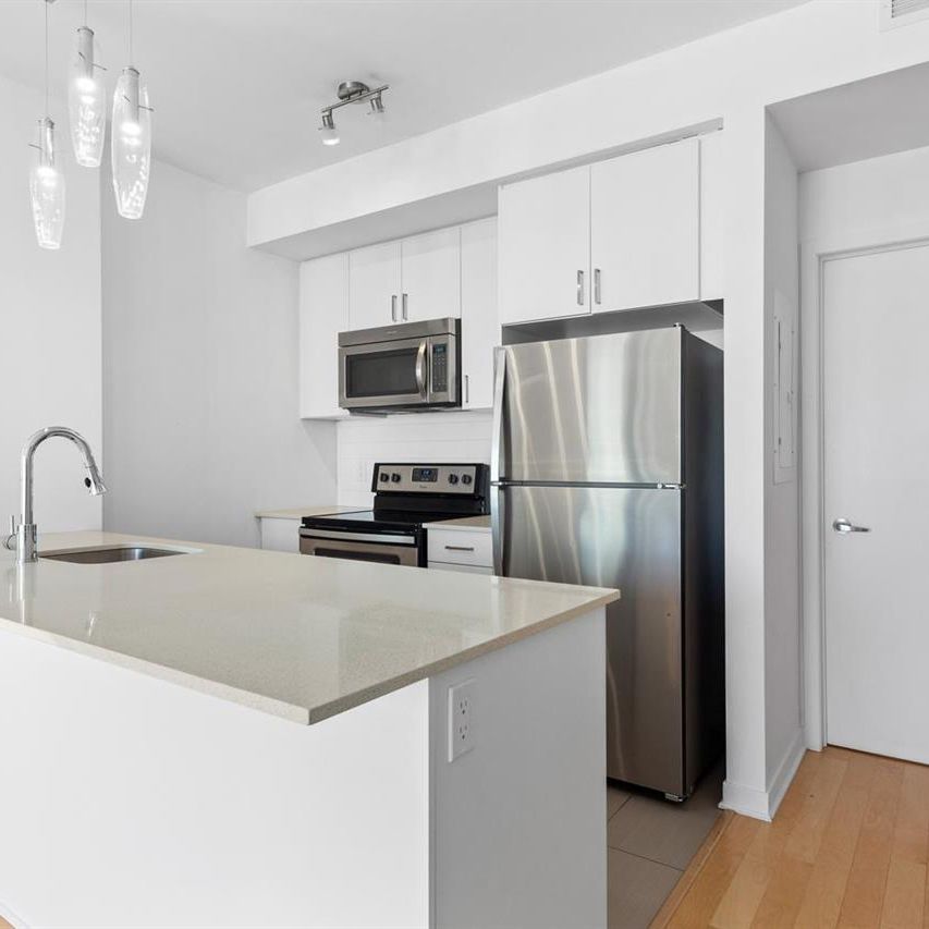 1 Bedroom - 688 Rue Notre-Dame Ouest, Montréal - Photo 2