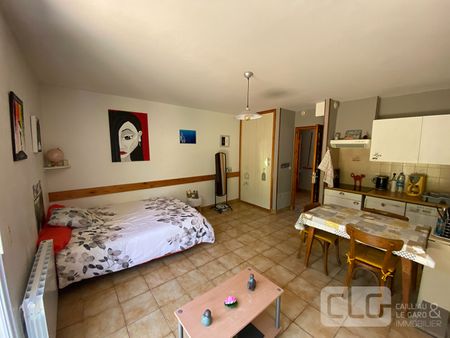 Location Appartement 1 pièce 29m² - Photo 5