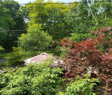 For Lease - 21 Love Crescent Unit# Main Floor, Toronto, Ontario - Photo 3