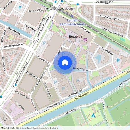 Omegaplantsoen 271, 2321 KT, Leiden