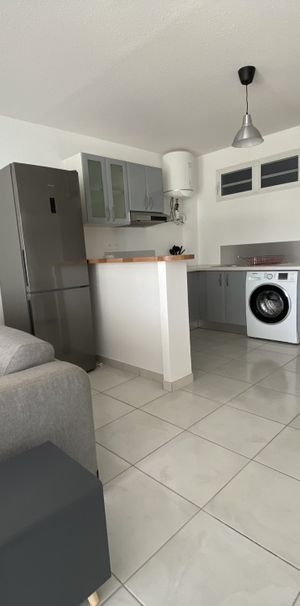 Location Appartement 2 pièces 47m² DUCOS 97224 - Photo 1