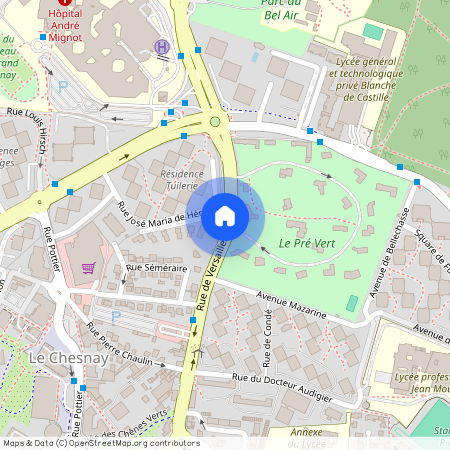 163 RUE DE VERSAILLES, 78150, Le Chesnay