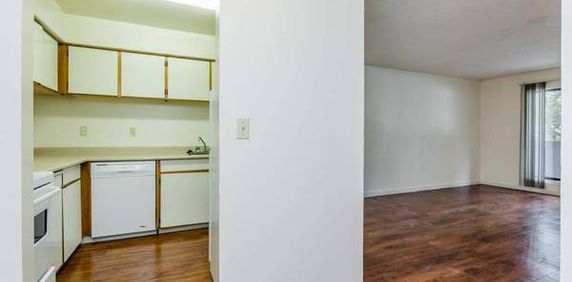 Eton :One bedroom Apartment 1,900$ for February 15th or March 1st - Photo 2