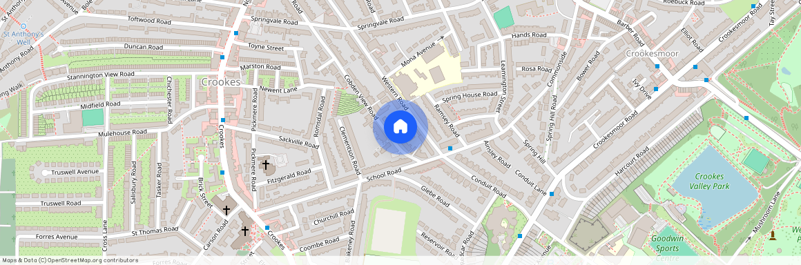 4 Cobden View Road, Crookes