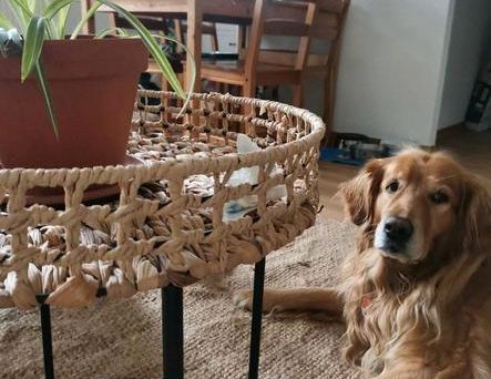 Schöne 1,5 Zimmer Wohung zur Miete / Marzahn - Foto 1