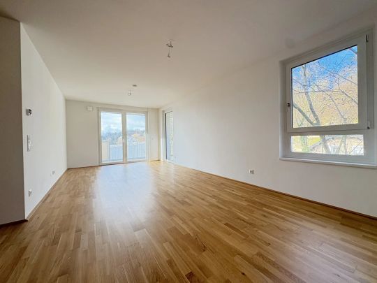 Erstbezug!- 4-Zimmer-Wohnung mit Südbalkon - Photo 1