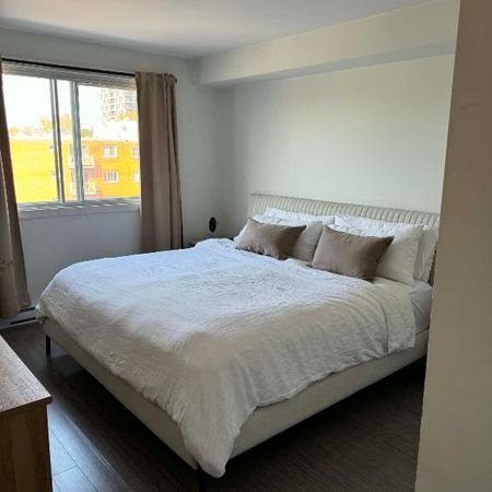 repentigny- Beau et grand 3 1/2 - - Photo 3