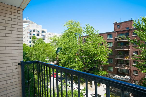 3495 Rue de la Montagne - Photo 1