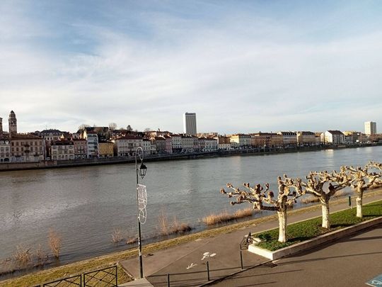 Location appartement 2 pièces 45.85 m² à Saint-Laurent-sur-Saône (01750) BORD DE SAONE - Photo 1