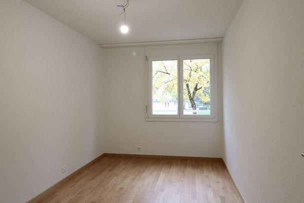 5-Zimmer- Attikawohnung - Photo 1