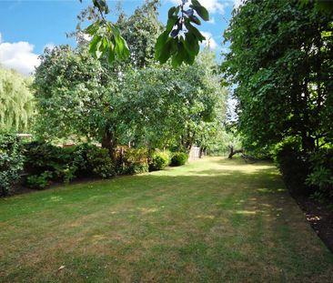 3 bedroom maisonette to rent - Photo 6