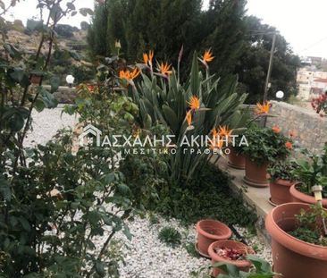 Μονοκατοικία για ενοικίαση Μαθιά (Καστέλλι) - Φωτογραφία 6