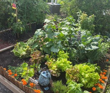 4060 Boul. des Sources, apt. 203 - Photo 5