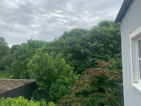 großzügige 2-Zimmer Wohnung mit Terrasse und möblierter Küche - Photo 3