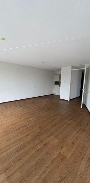 Bernhardlaan - Photo 1