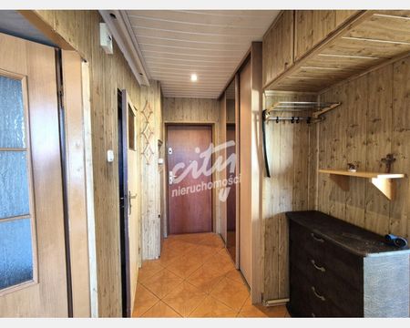 Szczecin - Zdjęcie 3