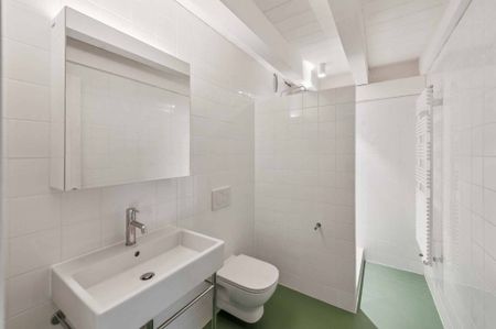 Rare house in the Geneva countryside - Photo 4