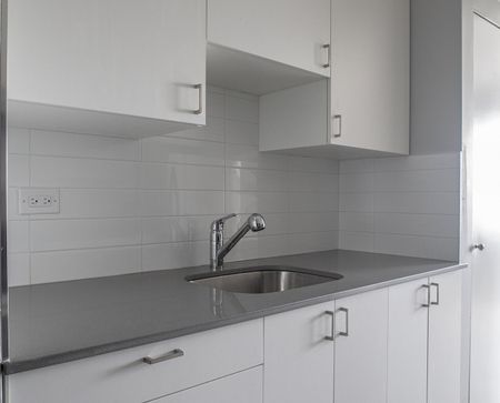 1225 Saint Marc Street, Montréal, QC - Photo 5