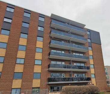 For Lease - 375 Scott Street Unit# 106, St. Catharines, Ontario - Photo 5