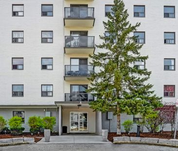 Park Lane Towers Apartments - Photo 3