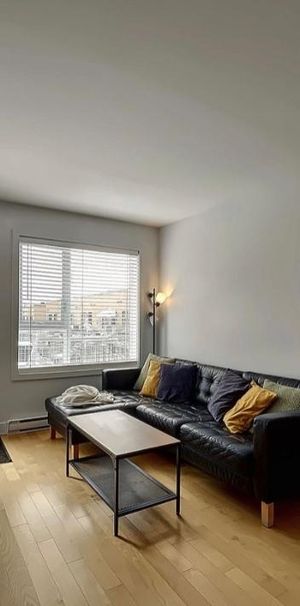 Appartement 4 1/2 à louer - Photo 1