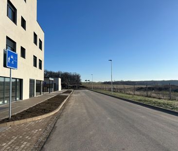 Pronájem bytu 2+kk • 55 m² bez realitkyJordánská, Praha - Kyje - Photo 6