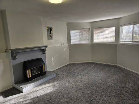 Spacious Basement Suite - Photo 5