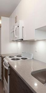 2 CH - 1 SDB - Montréal - $1,695 /mo - Photo 3