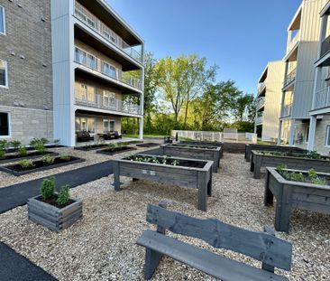 4 ½ à Louer, Animaux Acceptés! - Photo 3