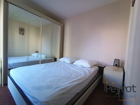 Location Appartement 3 pièces 48m² LE BARCARES 66420 - Photo 4