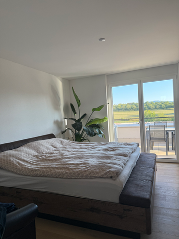 Endlich gefunden - ein Traum mit grosser Dachterrasse - Foto 4