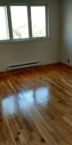 5 1/2 - Photo 3