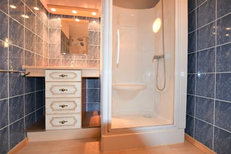 Appartement - EPINAL - Studio MEUBLE - 36 m2 - Photo 3